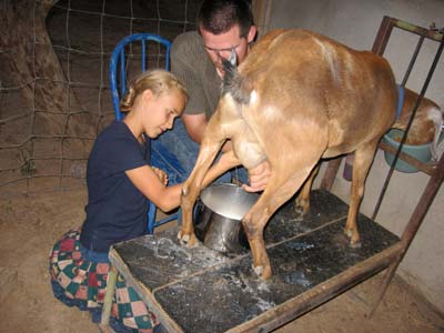 Moriah milking a goat